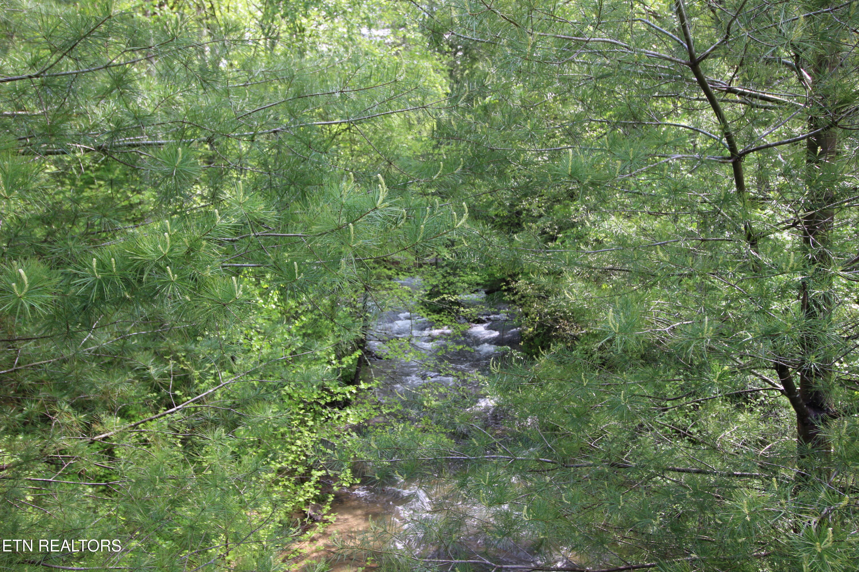 25.24 AC Loyd Knox Rd