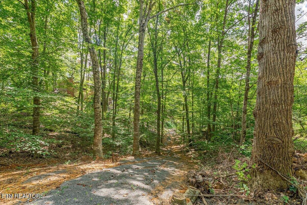 Photo of 1901 Bootbluff Trail Tr, Dandridge, TN 37725 (MLS # 1309360)