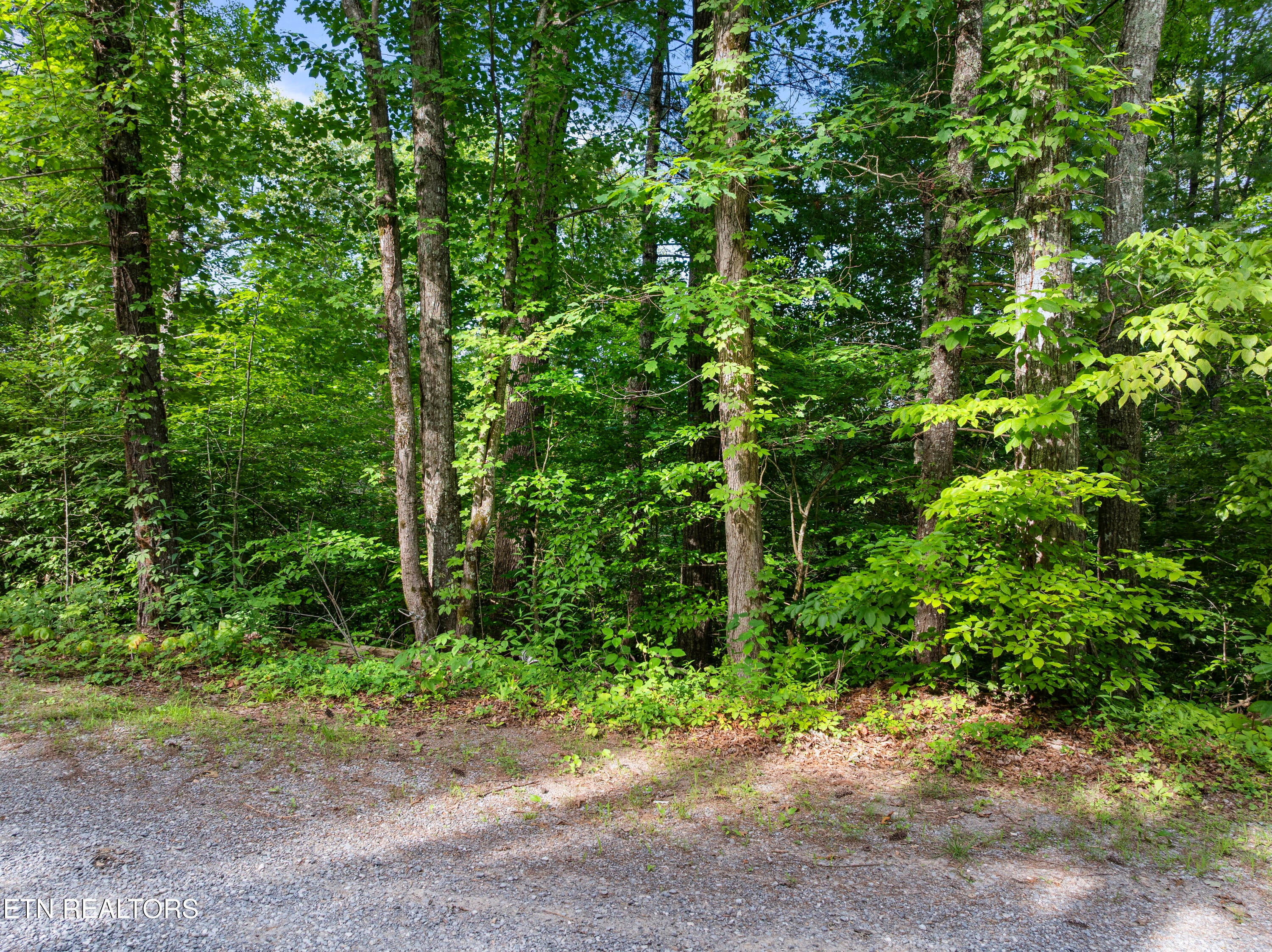 TBD Grouse Top (lot 4) Rd