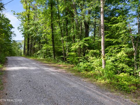 Photo of TBD Grouse Top (lot 4) Rd, Walland, TN 37886 (MLS # 1345833)