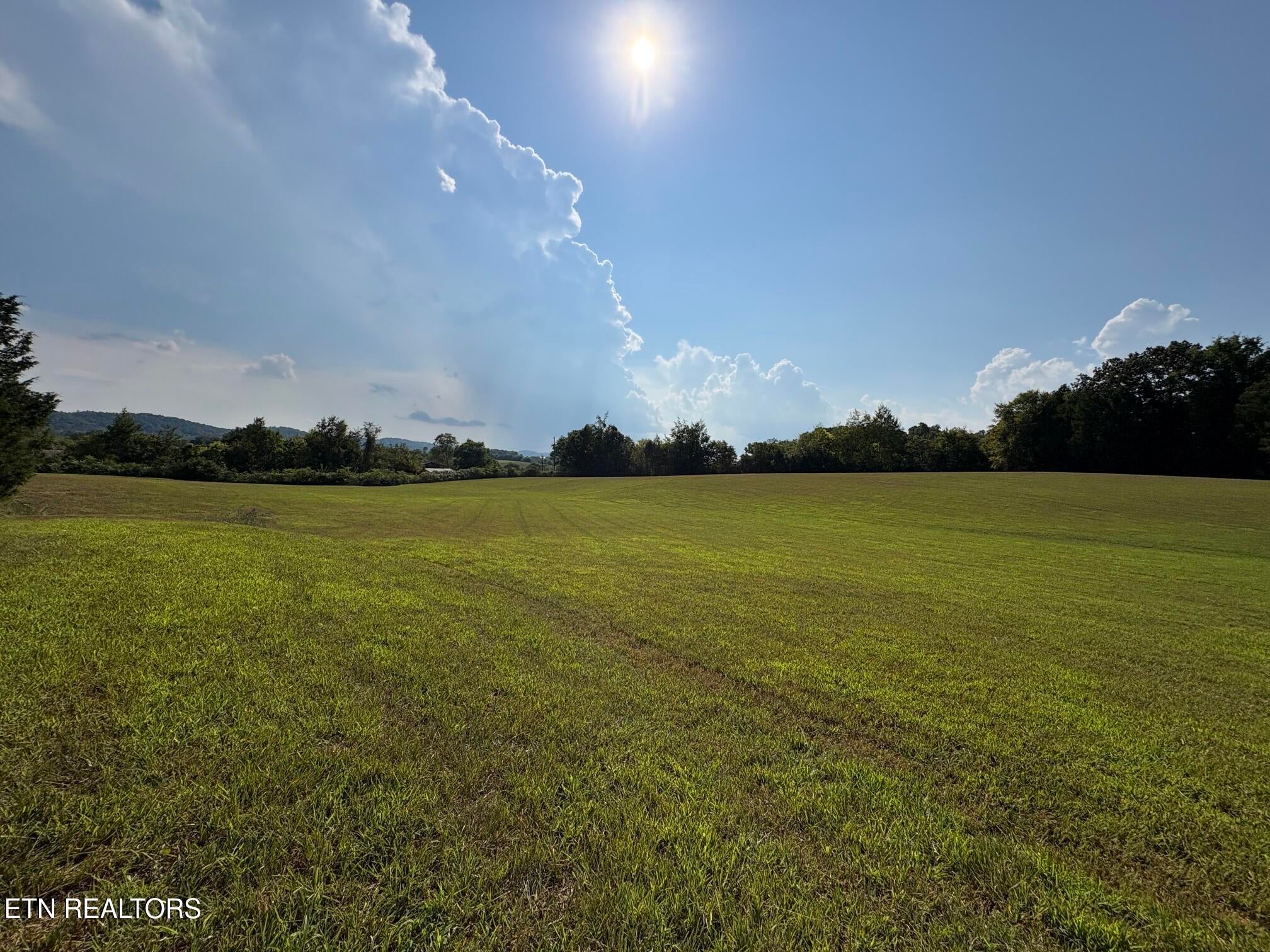 285 Hinchey Hollow Rd