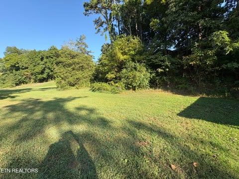 Tiny photo for 285 Hinchey Hollow Rd, Jefferson City, TN 37760 (MLS # 1355729)