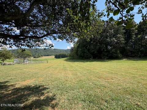 Tiny photo for 285 Hinchey Hollow Rd, Jefferson City, TN 37760 (MLS # 1355729)