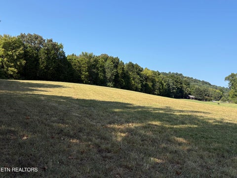 Tiny photo for 285 Hinchey Hollow Rd, Jefferson City, TN 37760 (MLS # 1355729)