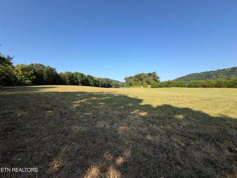 Tiny photo for 285 Hinchey Hollow Rd, Jefferson City, TN 37760 (MLS # 1355729)