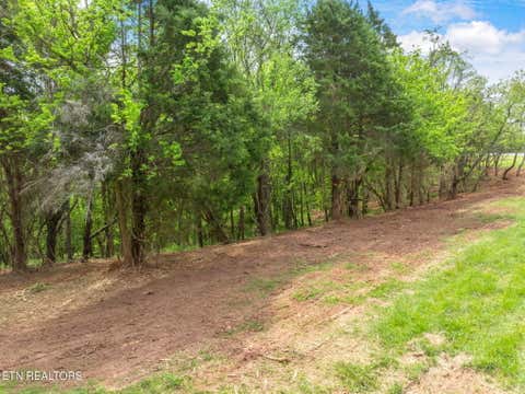 Tiny photo for 0 Highway 321 S, Lenoir City, TN 37772 (MLS # 1349676)