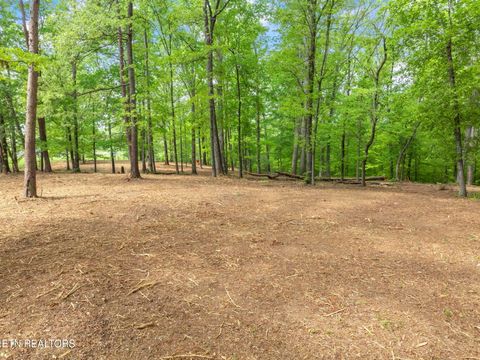 Tiny photo for 0 Highway 321 S, Lenoir City, TN 37772 (MLS # 1349676)
