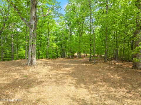 Tiny photo for 0 Highway 321 S, Lenoir City, TN 37772 (MLS # 1349676)