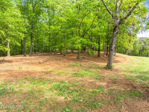 Tiny photo for 0 Highway 321 S, Lenoir City, TN 37772 (MLS # 1349676)