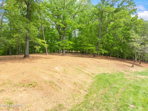 Tiny photo for 0 Highway 321 S, Lenoir City, TN 37772 (MLS # 1349676)