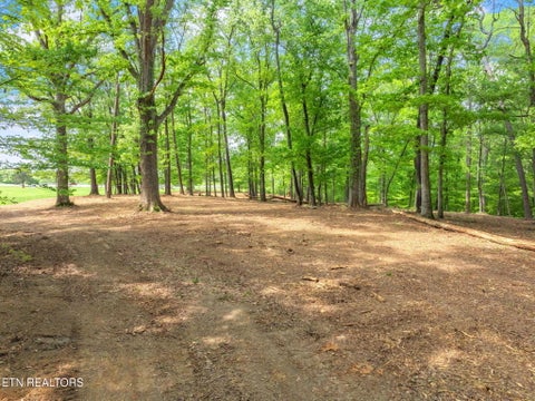 Tiny photo for 0 Highway 321 S, Lenoir City, TN 37772 (MLS # 1349676)