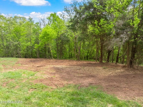 Tiny photo for 0 Highway 321 S, Lenoir City, TN 37772 (MLS # 1349676)