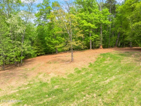 Tiny photo for 0 Highway 321 S, Lenoir City, TN 37772 (MLS # 1349676)