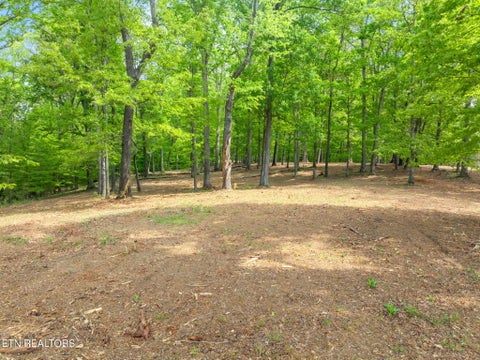 Tiny photo for 0 Highway 321 S, Lenoir City, TN 37772 (MLS # 1349676)