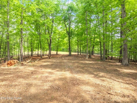 Tiny photo for 0 Highway 321 S, Lenoir City, TN 37772 (MLS # 1349676)