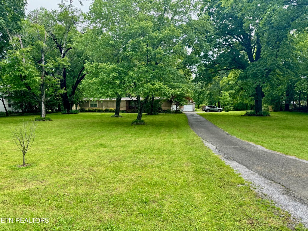 Photo of 476 W Jackson Ave, Spring City, TN 37381 (MLS # 1301387)