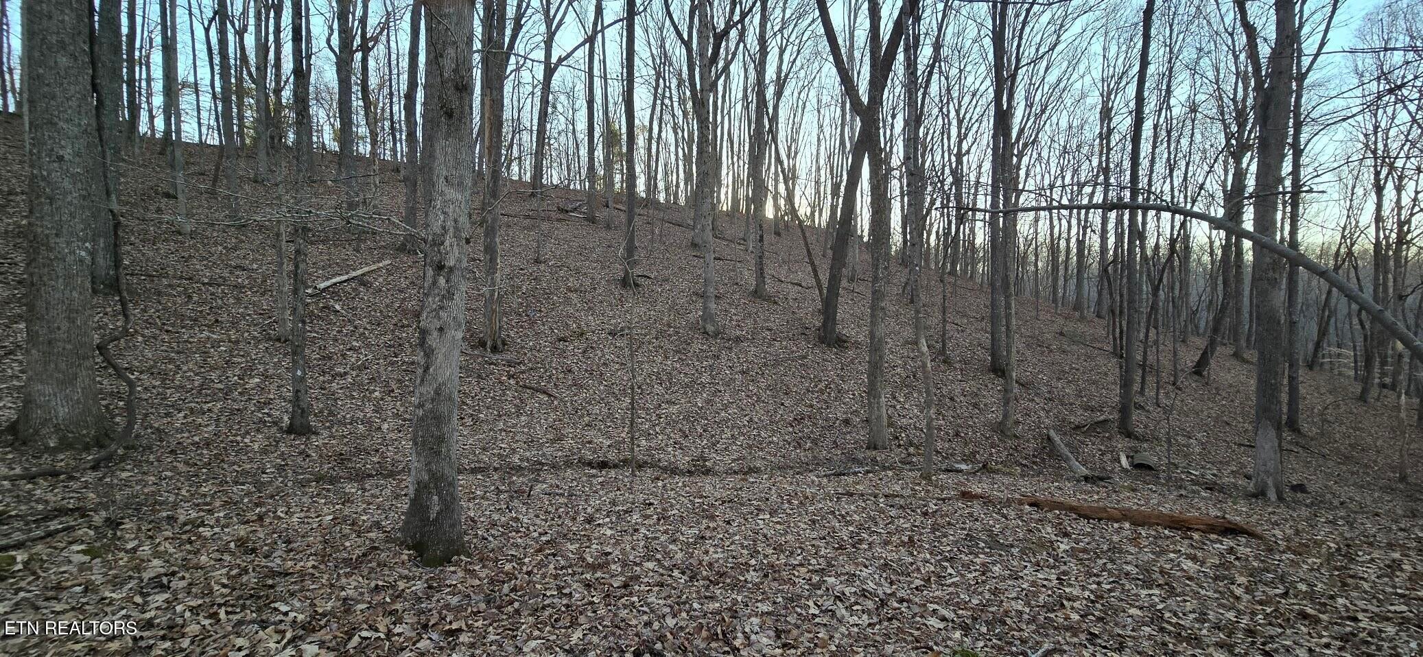 119 Pineridge Loop