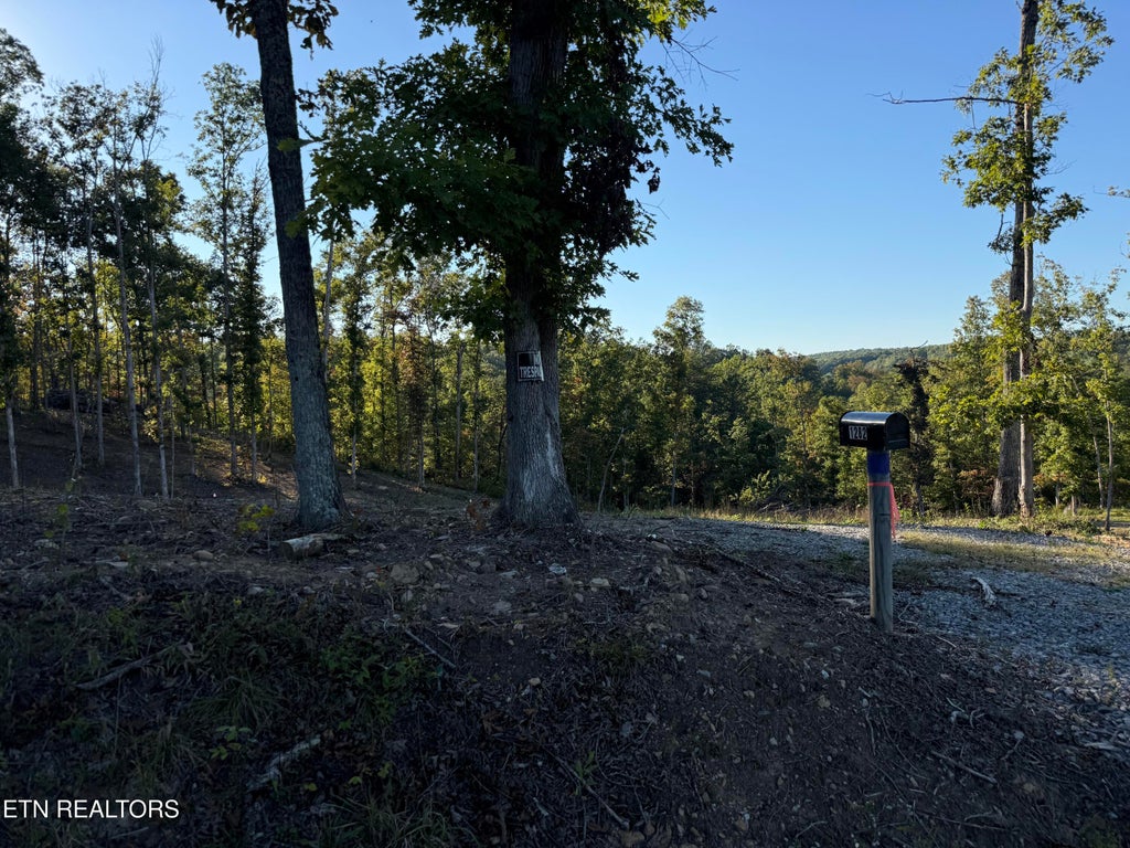 Photo of 1282 Vine Ridge Rd, Wilder, TN 38589 (MLS # 1358796)
