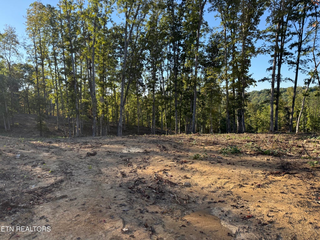 Photo of 1282 Vine Ridge Rd, Wilder, TN 38589 (MLS # 1358796)