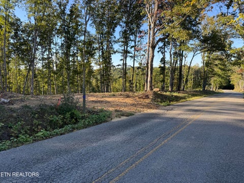 Photo of 1282 Vine Ridge Rd, Wilder, TN 38589 (MLS # 1358796)