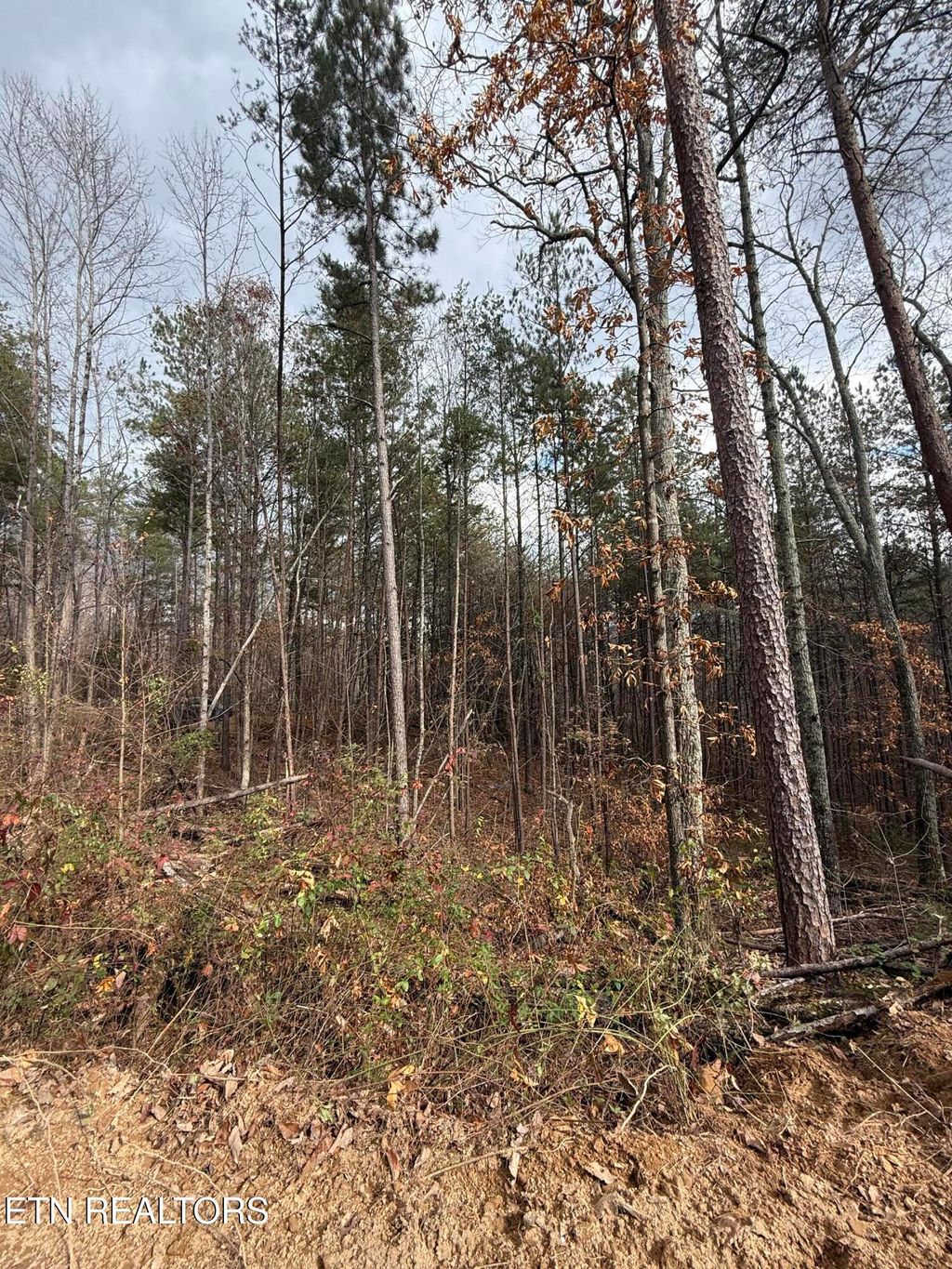 Photo of 2 Parksville Road, Benton, TN 37307 (MLS # 1322747)