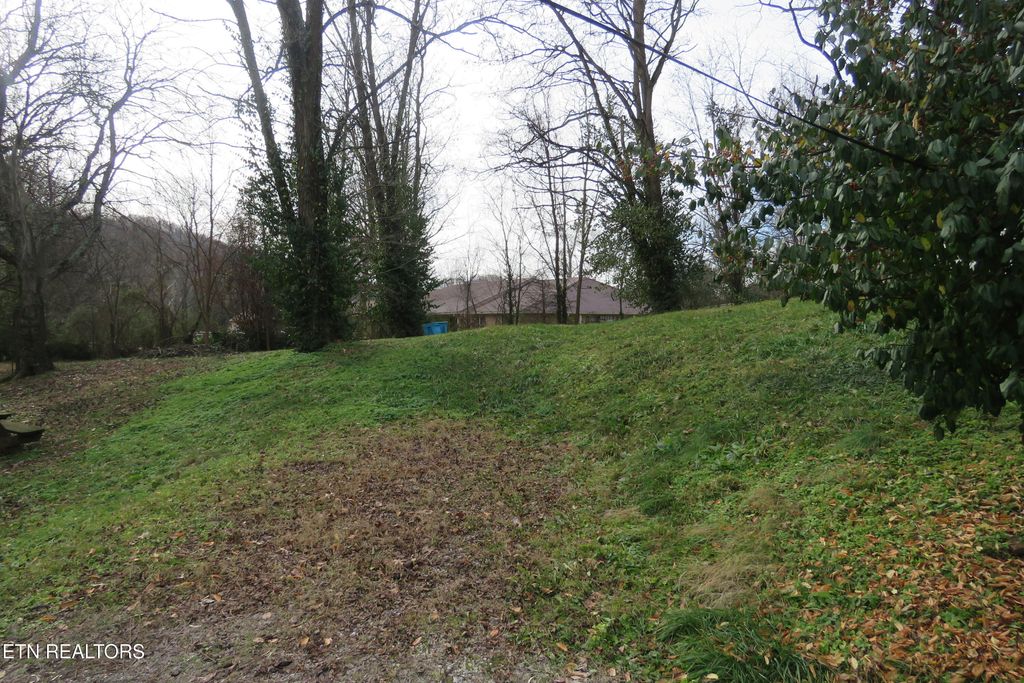 Photo of 218 Celina St, Livingston, TN 38570 (MLS # 1323925)