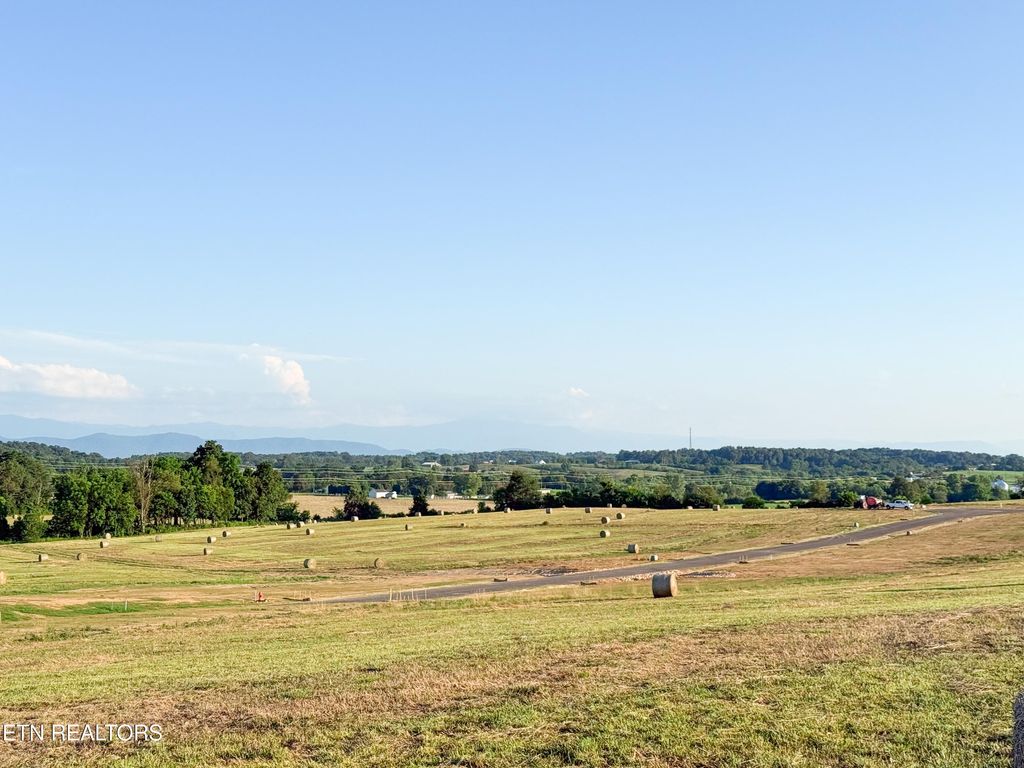 Photo of Lot 10 Summerset Drive, Talbott, TN 37877 (MLS # 1307749)