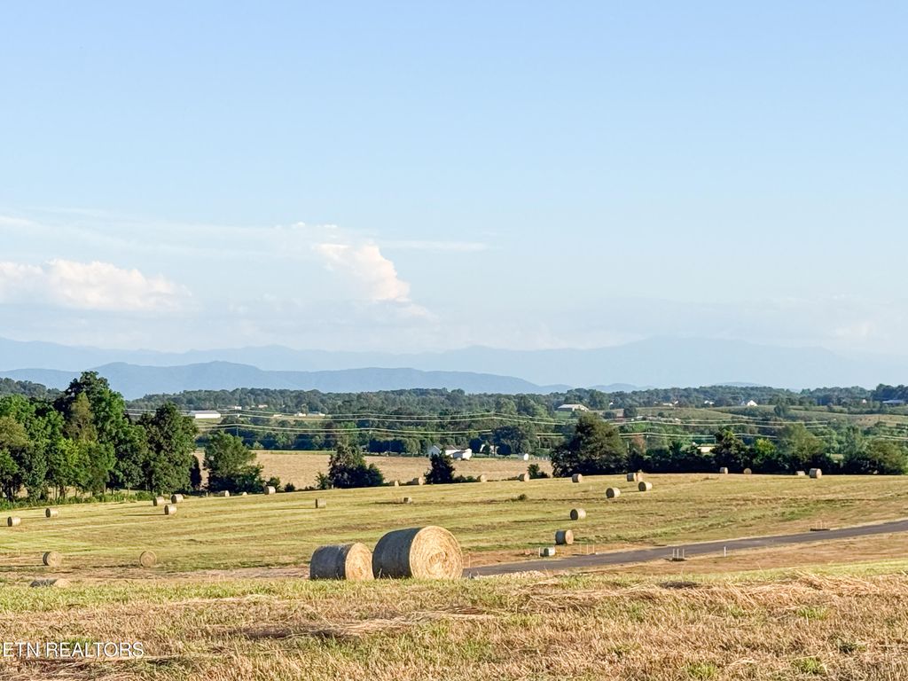 Photo of Lot 10 Summerset Drive, Talbott, TN 37877 (MLS # 1307749)