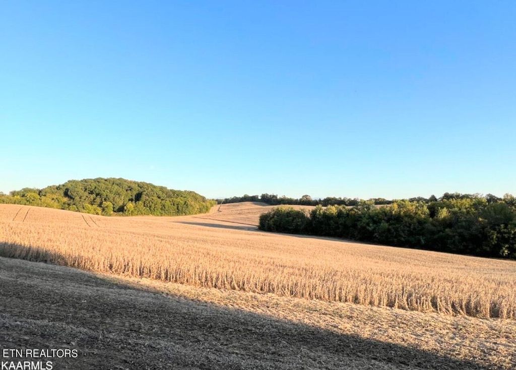 Photo of Lot 14 Gravelly Hills Rd, Louisville, TN 37777 (MLS # 1238137)