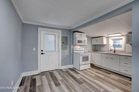 Tiny photo for 919 Hudson St, Sweetwater, TN 37874 (MLS # 1328355)