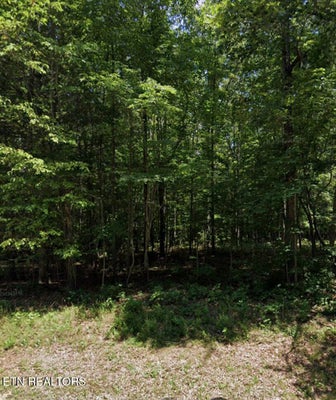 119 BEACHWOOD DR, CROSSVILLE, TN 38558 - Image 45cb08ef1f2b4f844b488e47ad366c6d/4088538266