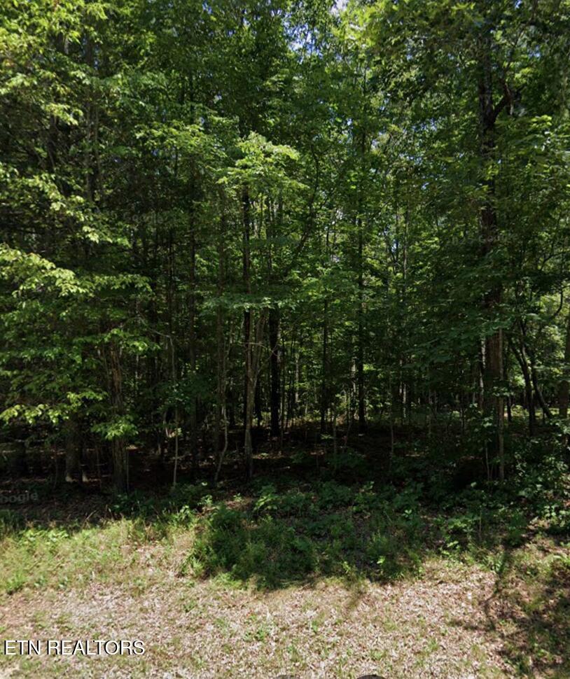 Photo of 119 Beachwood Drive, Crossville, TN 38558 (MLS # 1357399)