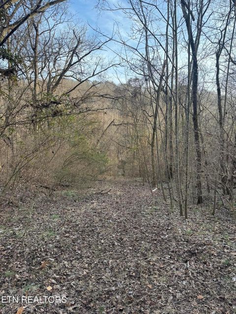 Tiny photo for 513 Jimtown Rd, Newport, TN 37821 (MLS # 1329233)