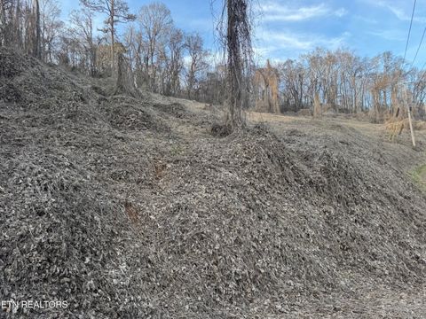 Tiny photo for 513 Jimtown Rd, Newport, TN 37821 (MLS # 1329233)