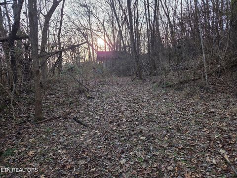 Tiny photo for 513 Jimtown Rd, Newport, TN 37821 (MLS # 1329233)