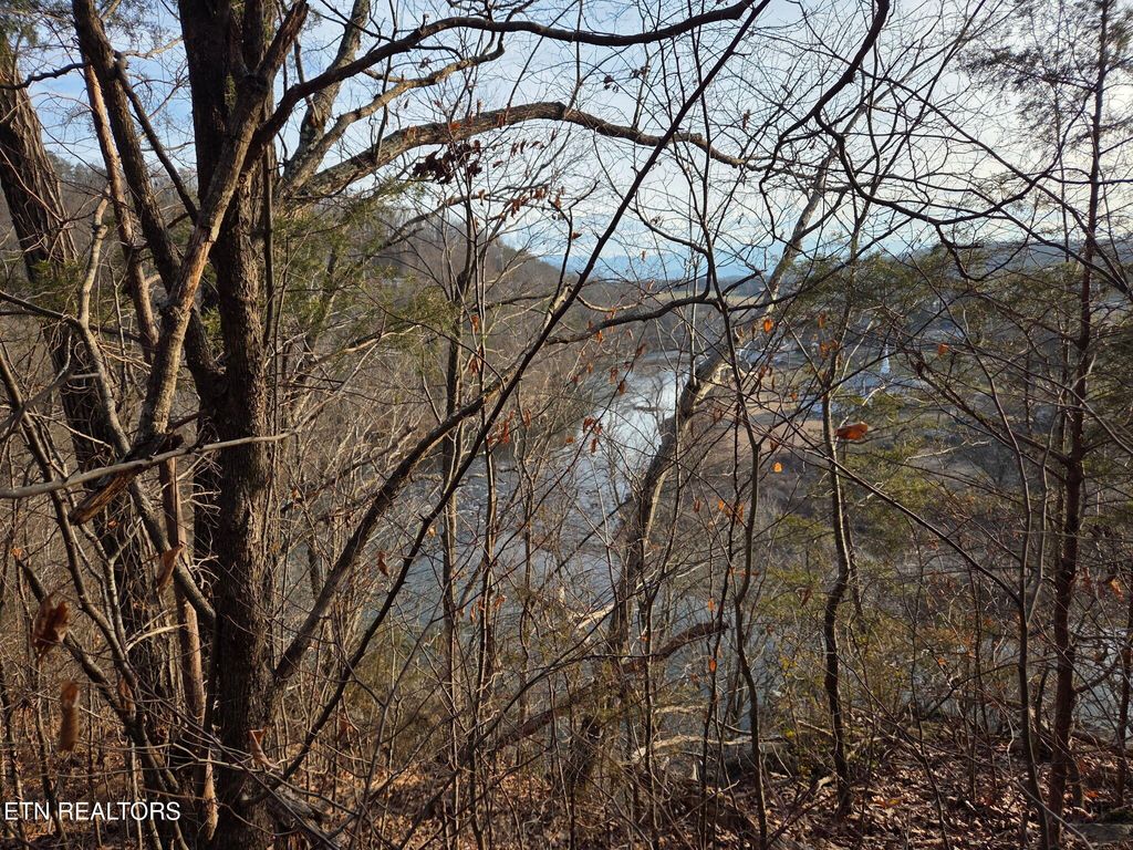 Photo of 513 Jimtown Rd, Newport, TN 37821 (MLS # 1329233)