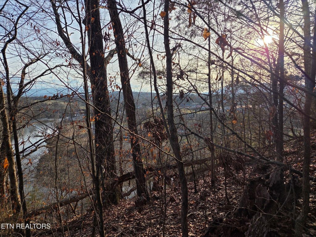 Photo of 513 Jimtown Rd, Newport, TN 37821 (MLS # 1329233)