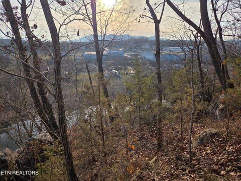 Tiny photo for 513 Jimtown Rd, Newport, TN 37821 (MLS # 1329233)