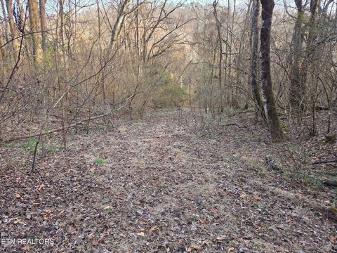 Tiny photo for 513 Jimtown Rd, Newport, TN 37821 (MLS # 1329233)