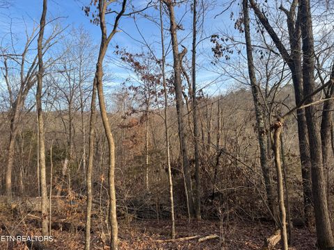 Tiny photo for 513 Jimtown Rd, Newport, TN 37821 (MLS # 1329233)