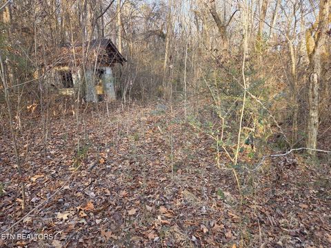 Tiny photo for 513 Jimtown Rd, Newport, TN 37821 (MLS # 1329233)