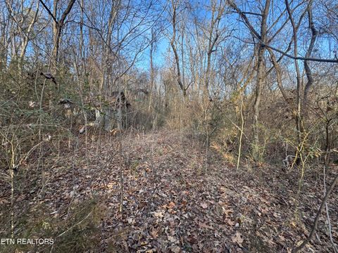 Tiny photo for 513 Jimtown Rd, Newport, TN 37821 (MLS # 1329233)