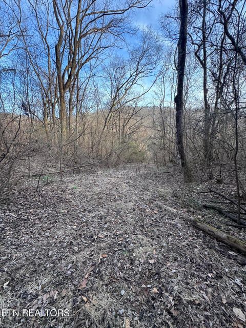 Tiny photo for 513 Jimtown Rd, Newport, TN 37821 (MLS # 1329233)