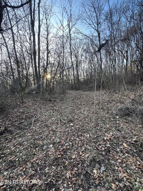 Tiny photo for 513 Jimtown Rd, Newport, TN 37821 (MLS # 1329233)