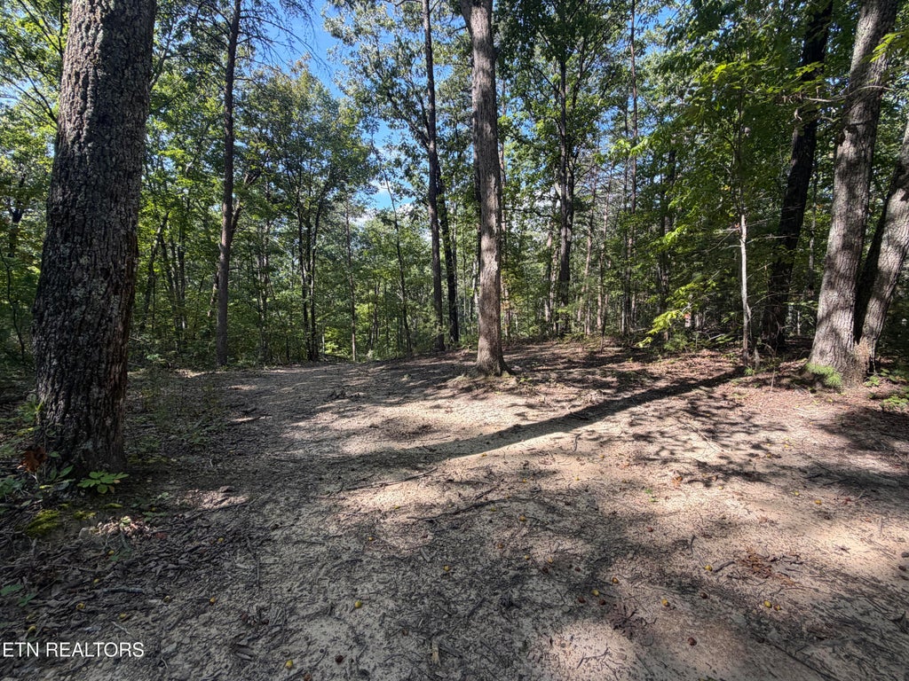 Photo of 1 Mecca Pike PIKE, Tellico Plains, TN 37385 (MLS # 1357904)