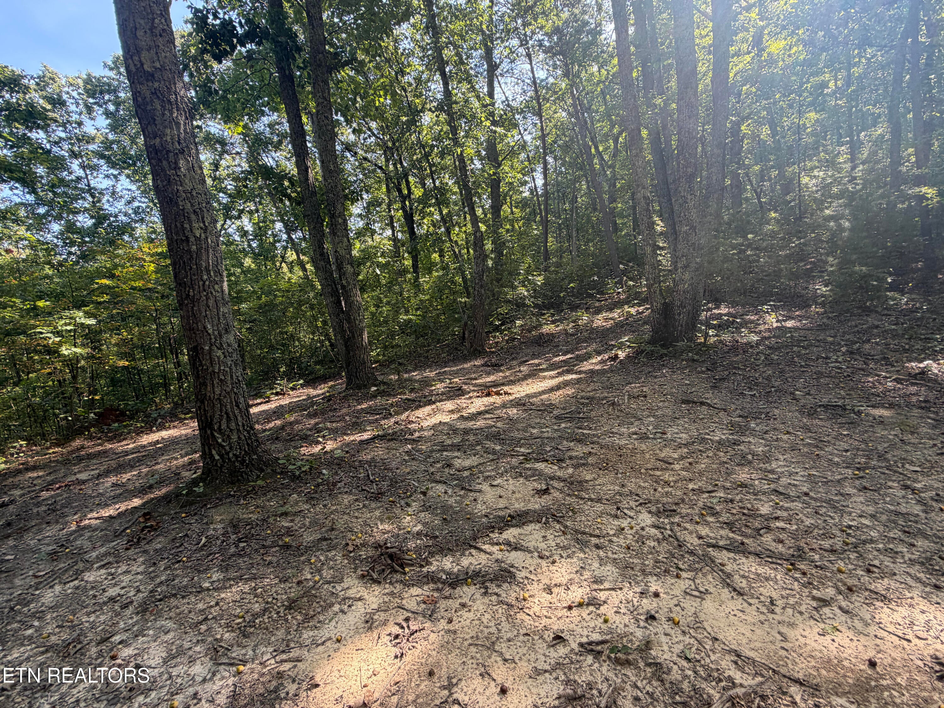 Lot 1 Mecca Pike - Photo 3