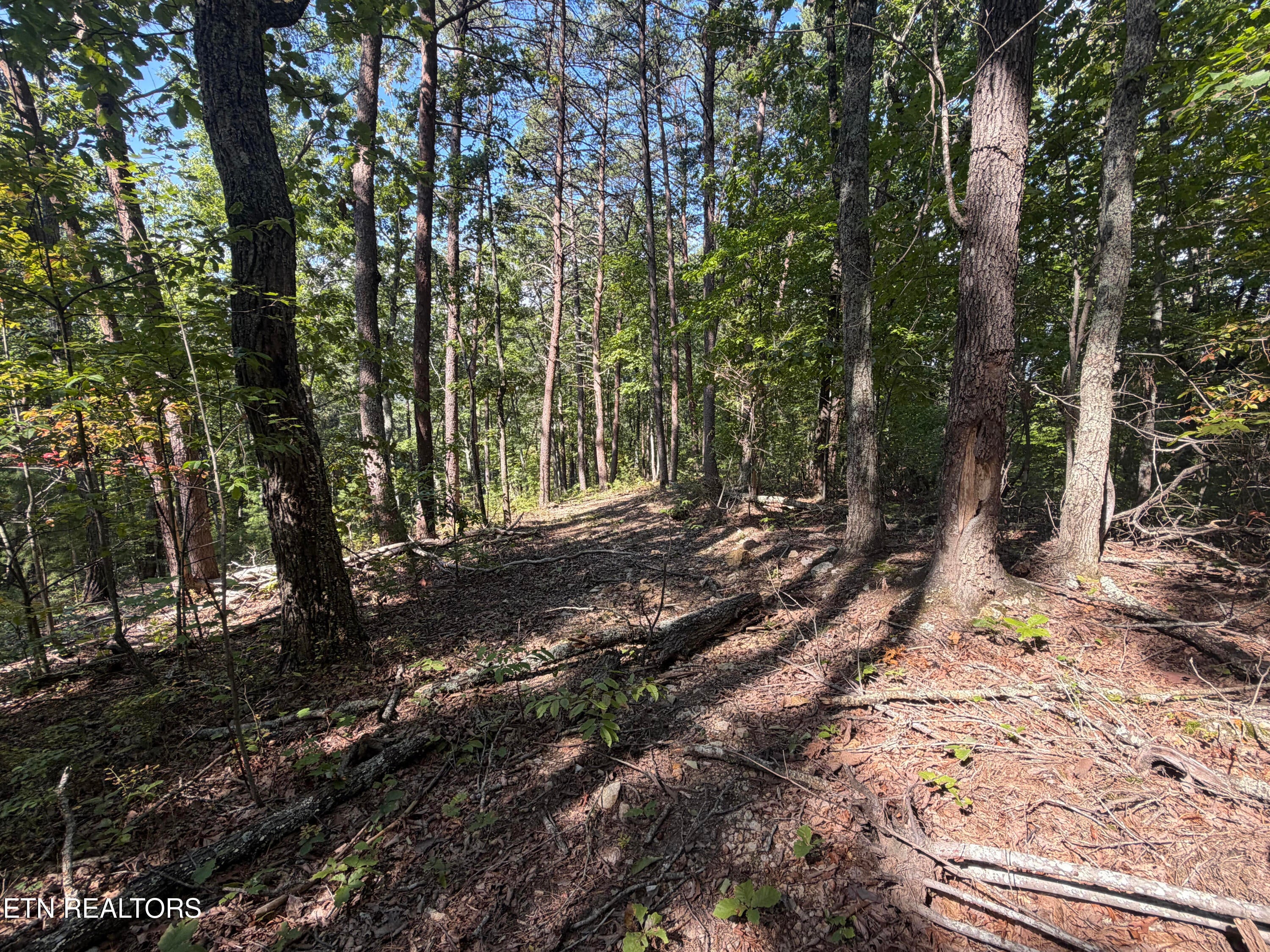 Lot 1 Mecca Pike - Photo 2