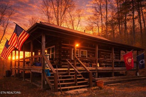 Photo of 132 Sugar Maple Way, Del Rio, TN 37727 (MLS # 1331935)