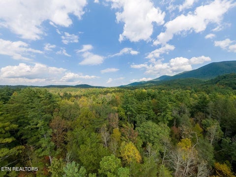 Tiny photo for 142 Rivendell Lane, Tellico Plains, TN 37385 (MLS # 1359636)