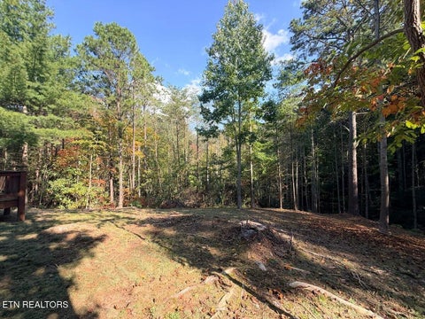 Tiny photo for 142 Rivendell Lane, Tellico Plains, TN 37385 (MLS # 1359636)